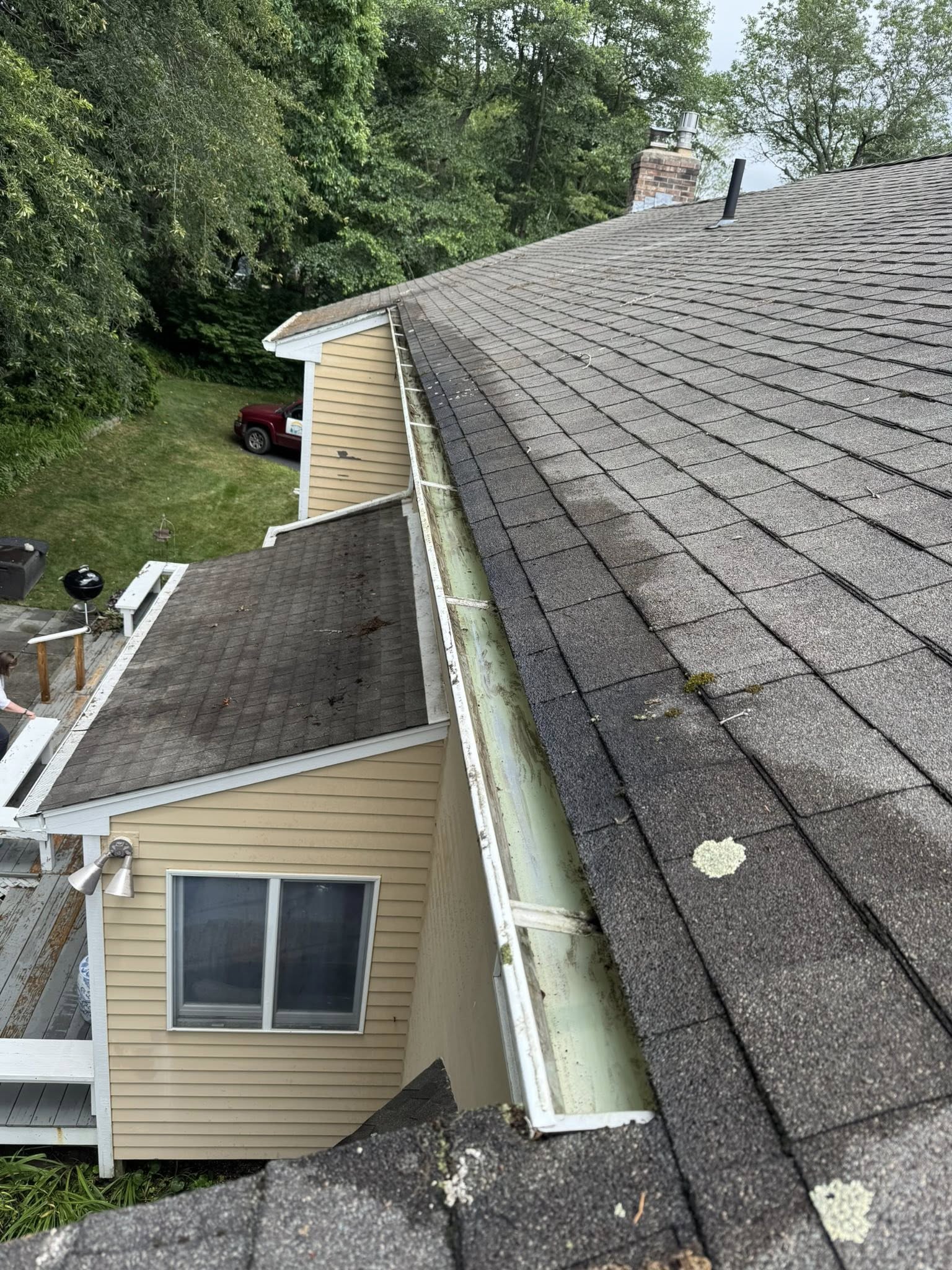 Gutter cleaning service