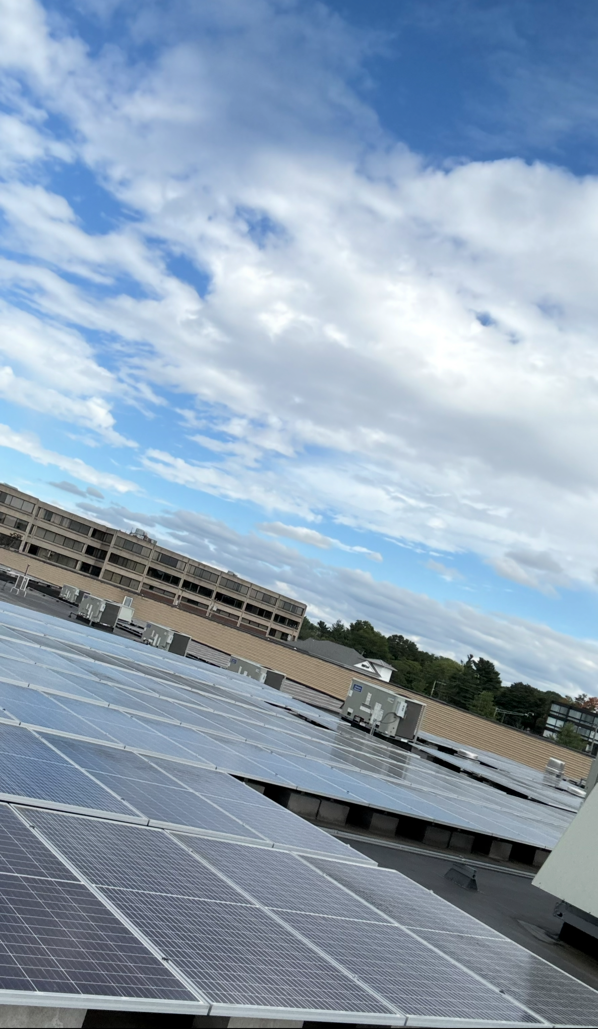 Driveway cleaning result